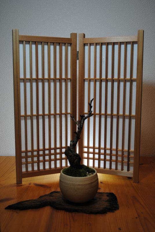 Made in Japan！建具職人手作り ミニ障子衝立【障子・無地