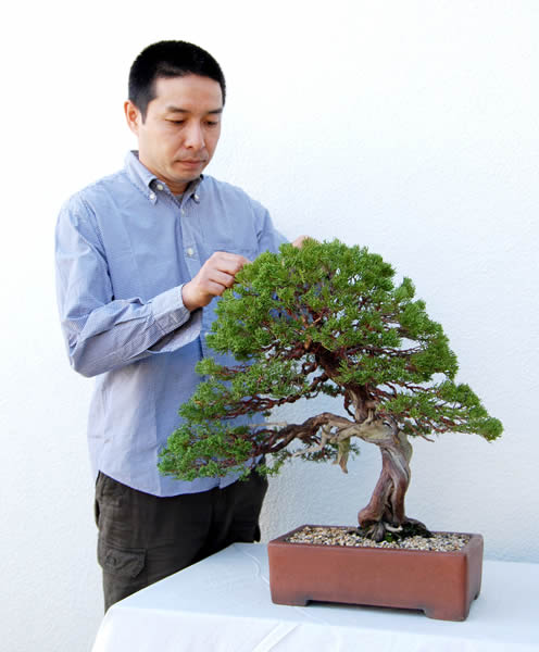 紫砂 無孔三足水底盆 三足獣面無孔盆 盆栽鉢