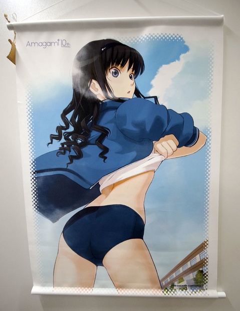 森島はるか 七咲逢 描きおろしイラスト B3 タペストリー BD＆DVD