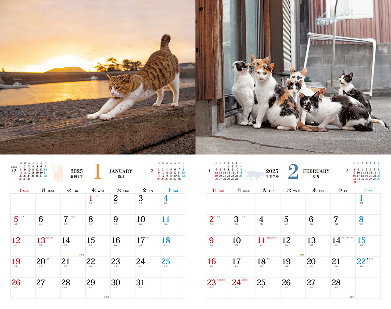 そとねこ - インプレスブックス