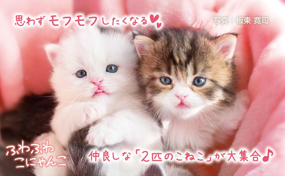 ふわふわこにゃんこ - インプレスブックス