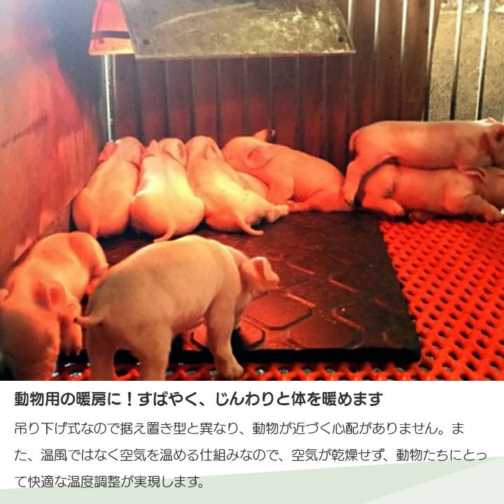 000000015777-05-l.jpg?t=