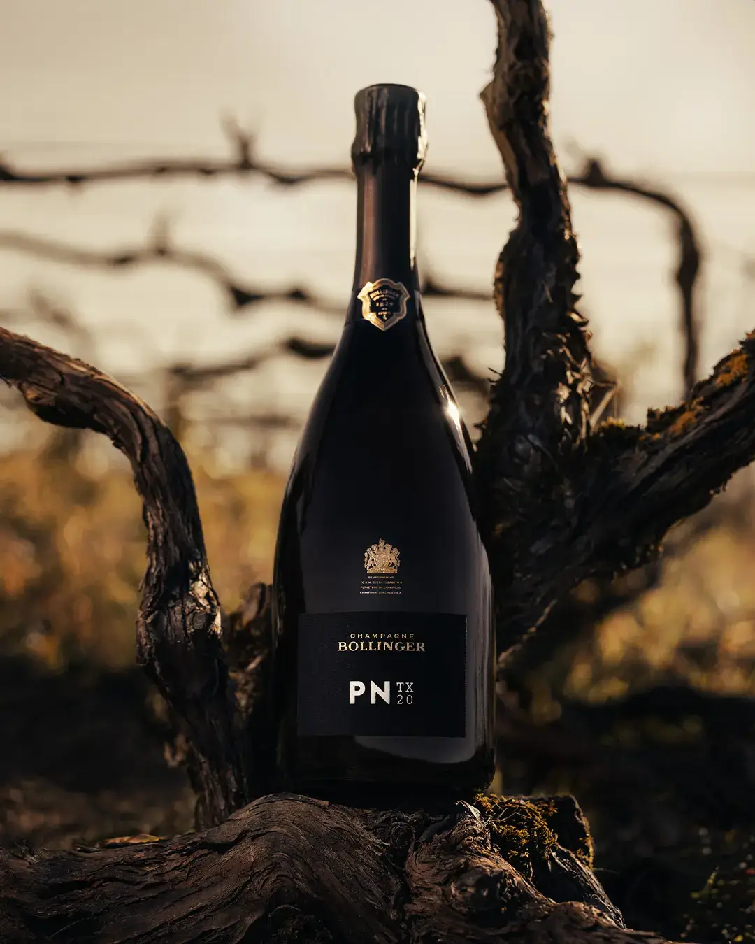 ボランジェ『 PNコレクション』シリーズ 3本セット 数量限定