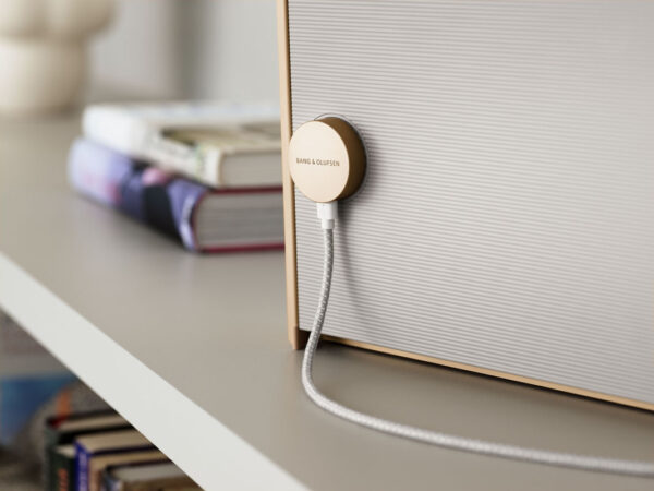 Bang & Olufsen Beosound Level - Portable Wireless Speaker - BOLLOstore