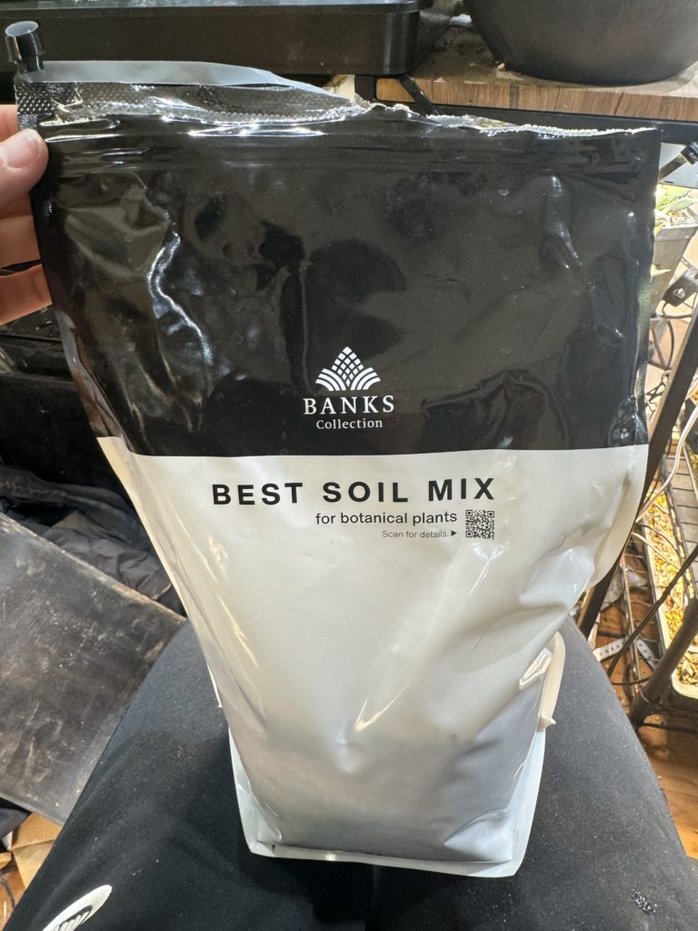 土】 BEST SOIL MIX ベストソイルミックス 使用レビュー | BOTANICAL