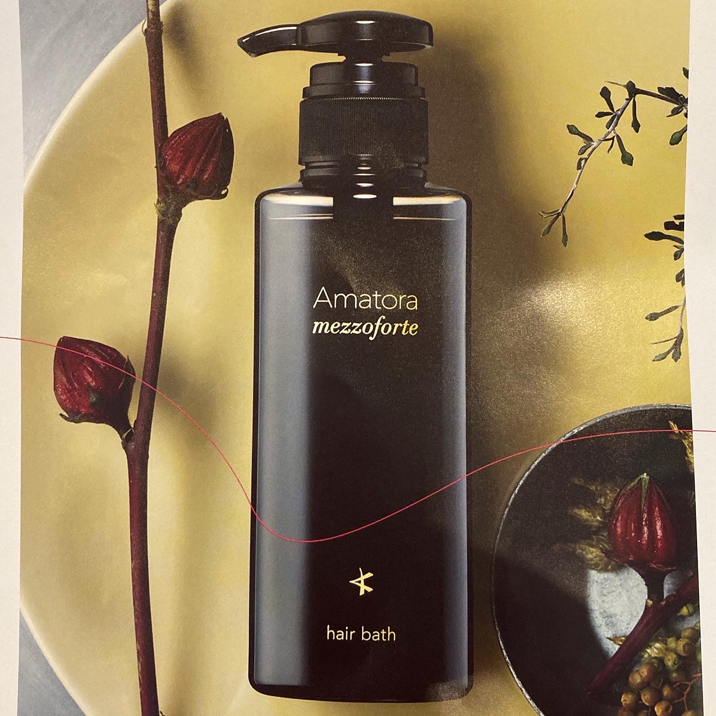 Amatora mezzo forte」（アマトラ メゾフォルテ）導入します – BOUQUET