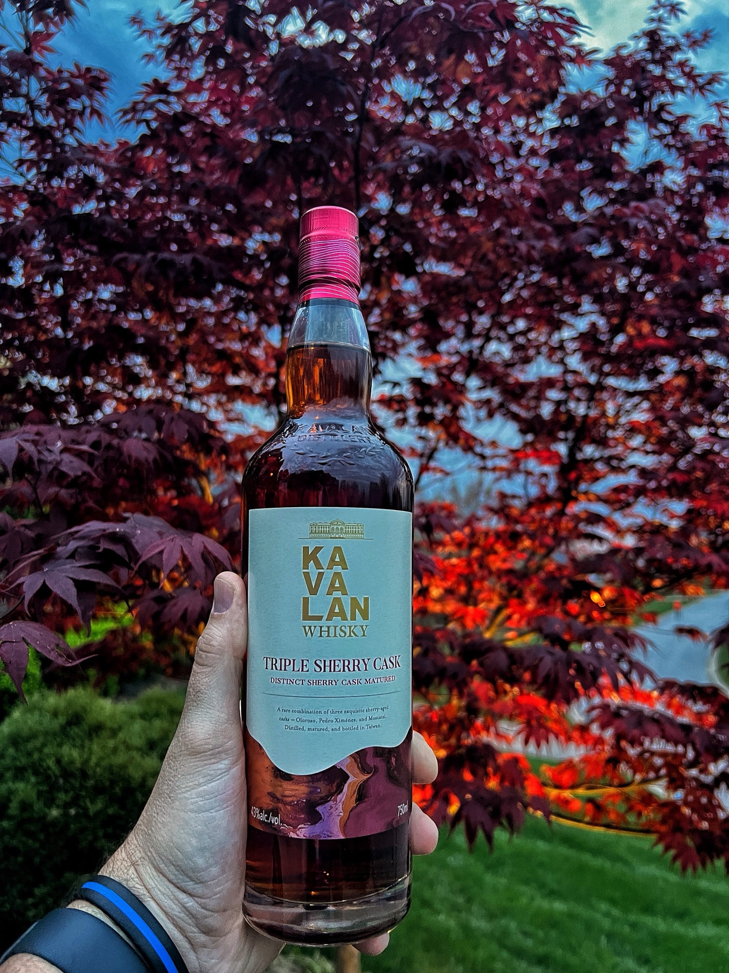 Kavalan Whisky Triple Sherry Cask, How Good Is It? | Bourbon Lens