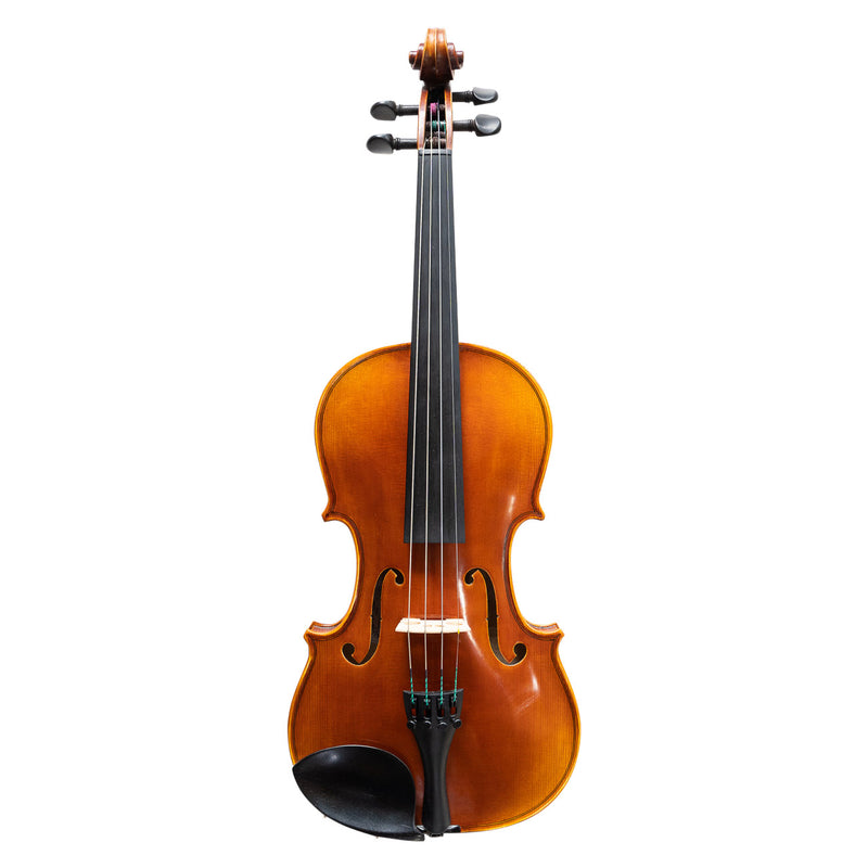 Raggetti RV7 Violin 1/2 Outfit – Bows For Strings