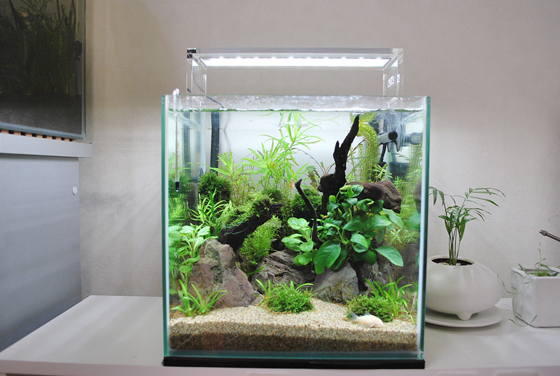 ADA アクアスカイ ムーン 301 ADA アクアスカイムーン301 水槽照明