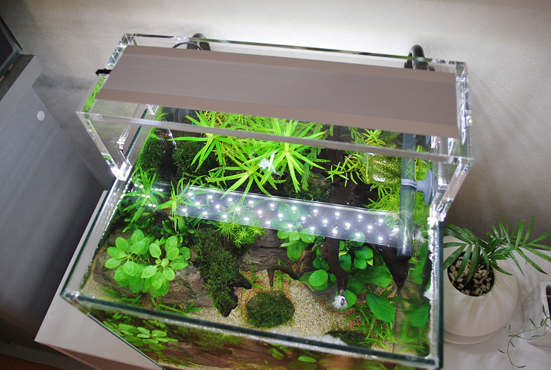 ADA アクアスカイ 301 2個セット ADA アクアスカイG 301 水草育成用LED