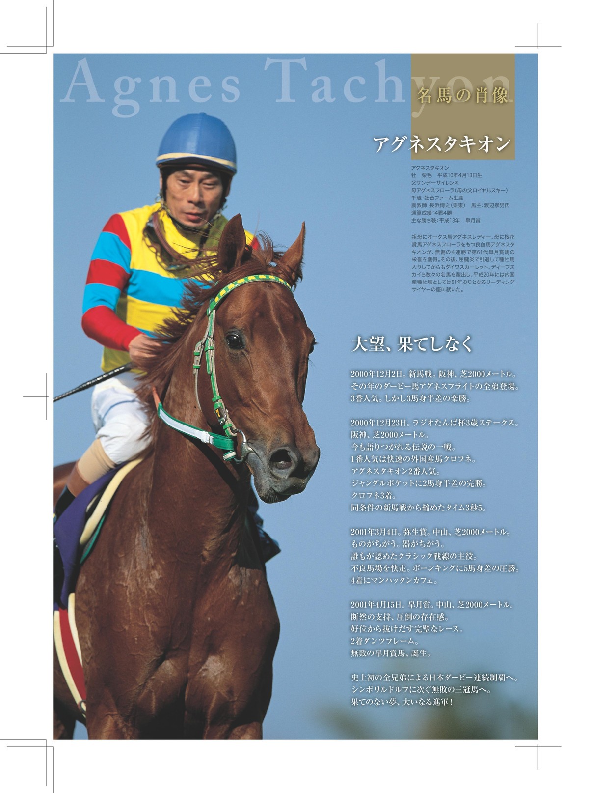 アグネスフライト 日本ダービー馬券コレクション