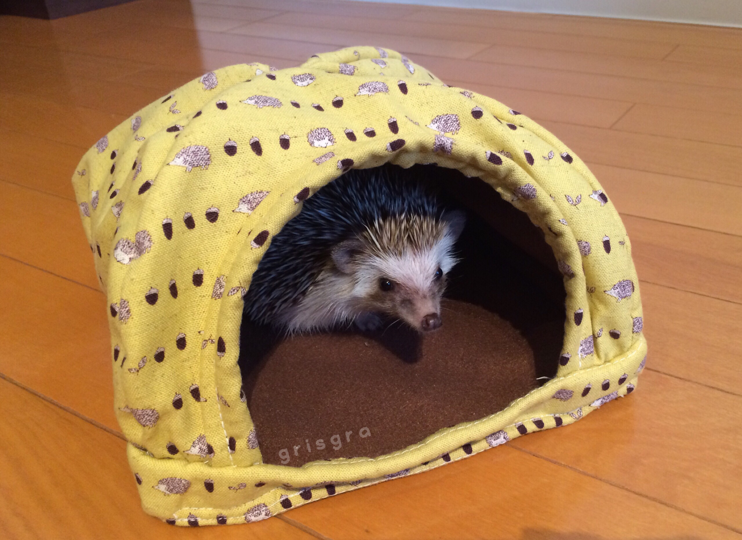 ハリネズミ寝袋 黄色スイカ西川恵様 【公式通販】