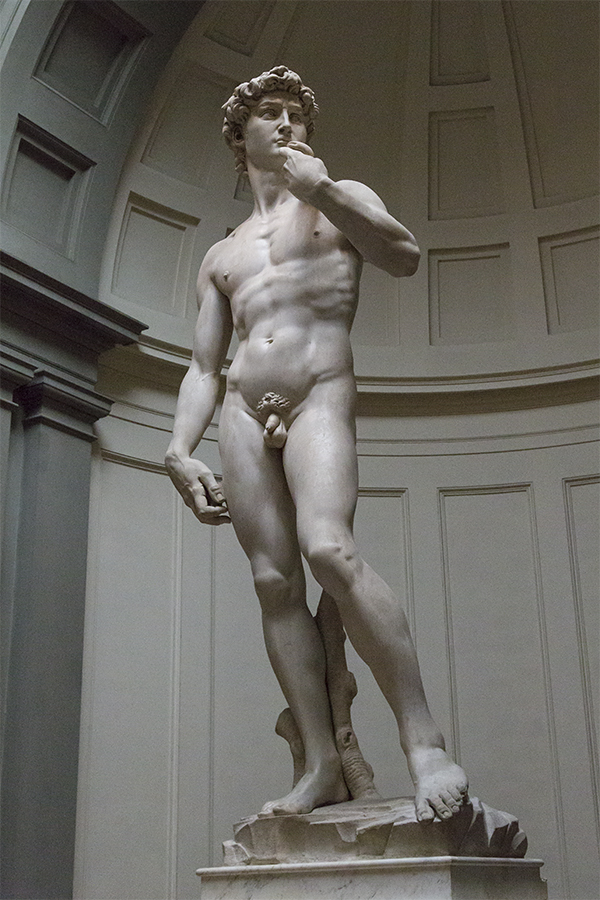 ミケランジェロのダビデ像 2015.9.25 -- 2 | ディックの花通信