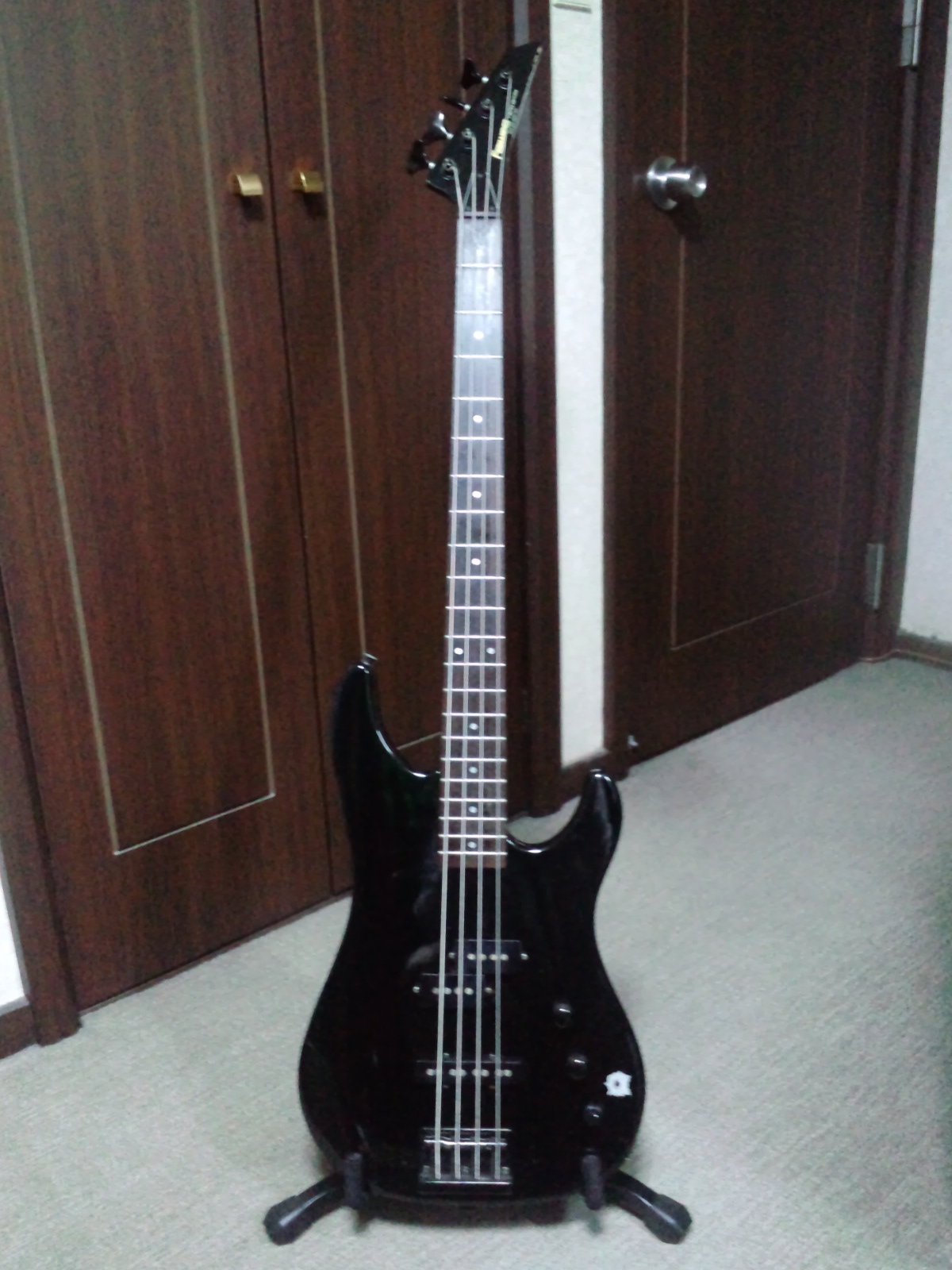 FERNANDES Limited Edition レビュー - プチおとあそび