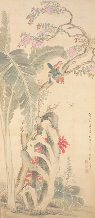 帆足杏雨 | 帆足先生的収蔵