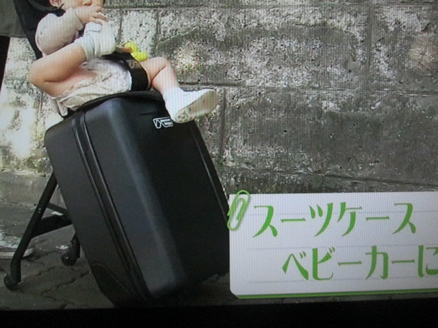 mountain buggy 子供が乗れるキャリーバッグ 子供が乗れるスーツケース