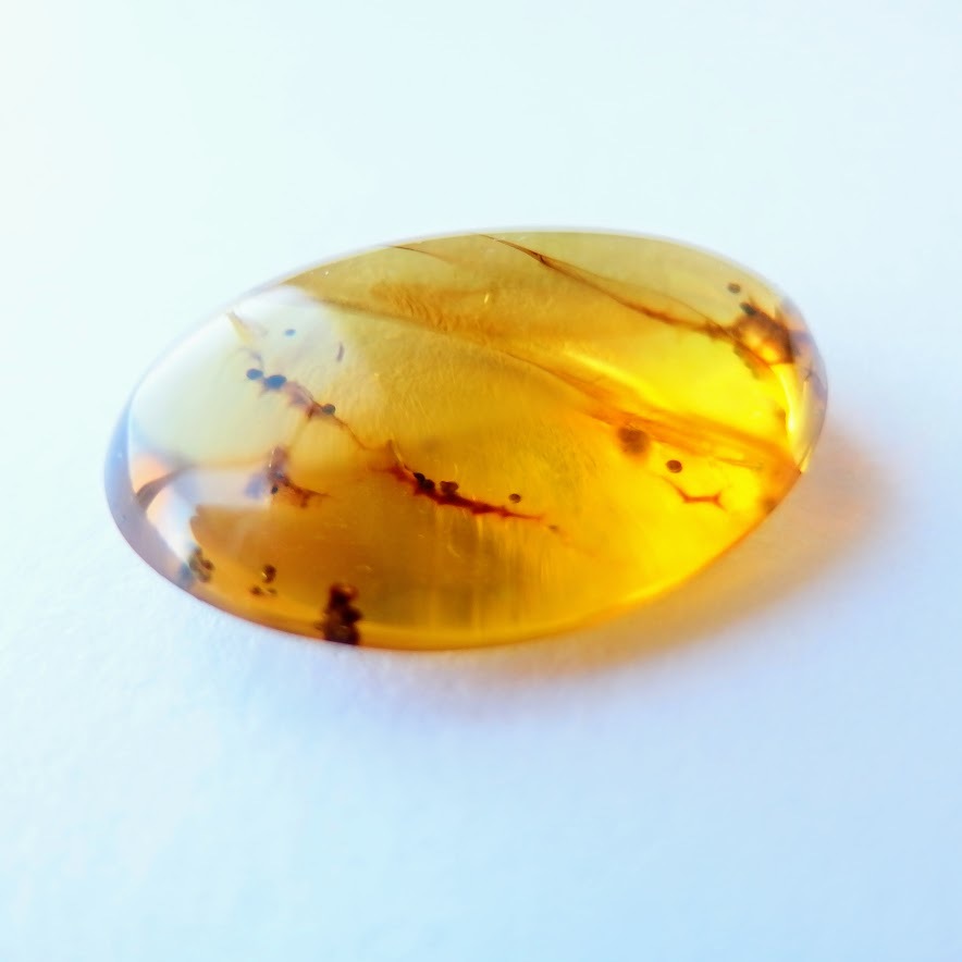 きのこの化石入りバーマイト ミャンマー琥珀 M10917757高価