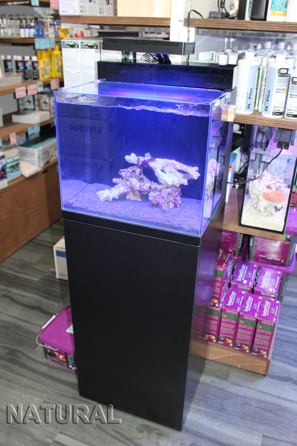 NEWオールインワン水槽『ORCAシェルⅡ』予約受付中です。 | 海水魚