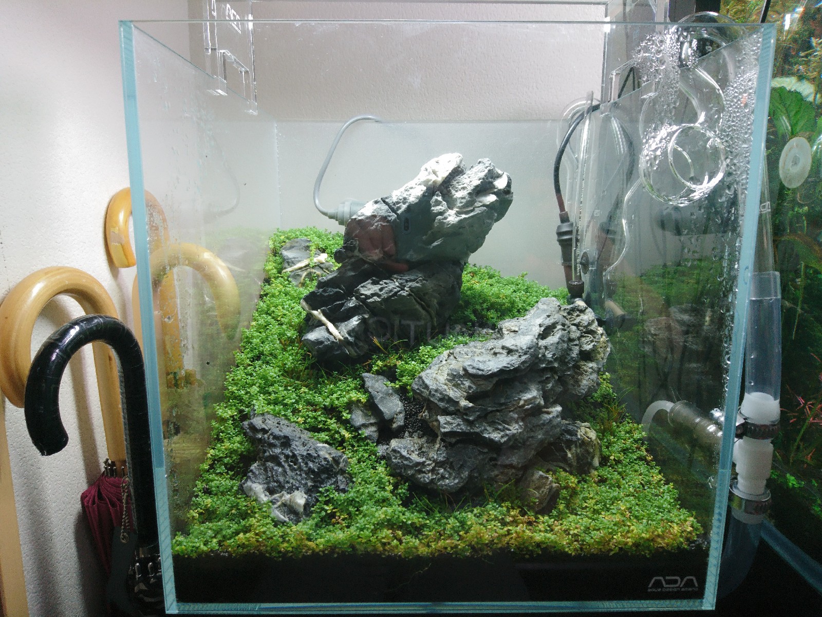 エーハイム2213 ガラスパイプ付き エーハイム2213 ガラスパイプ付き