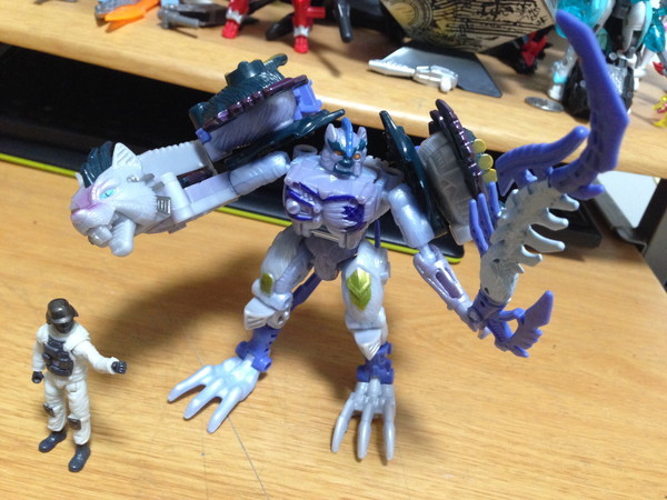 イヌっぽいけど実はネコに近い『フロストバイト(ユニバース)』 | DDMTF