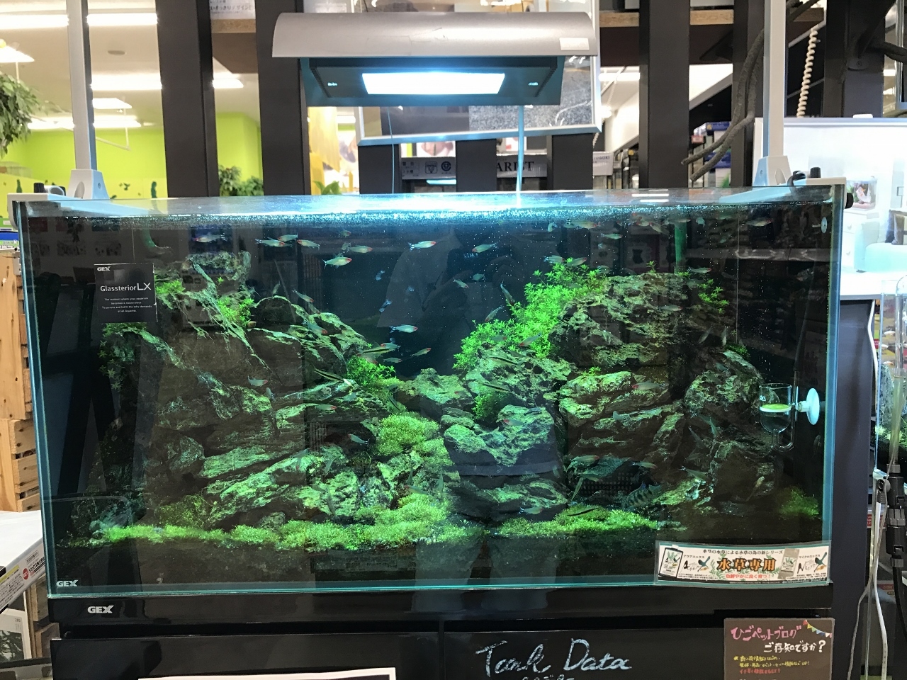 ADA アクアデザインアマノ ソーラー RGB LED 照明システム used ADA