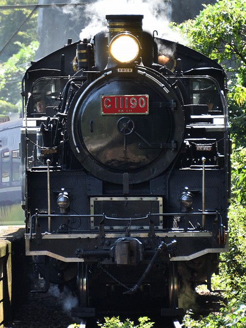 C11 312 ナンバープレート 蒸気機関車 SL 大井川鐵道 国鉄 レプリカ