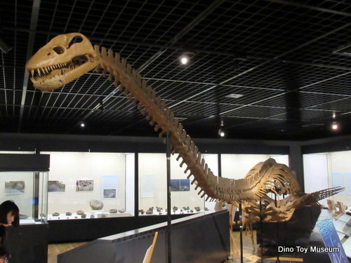 北海道中川大きな虹色ハウエリセラス化石恐竜