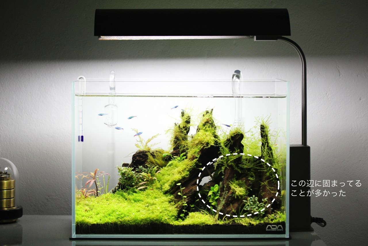 リリィパイプP(出水用) ADA ADA リリィパイプ・スピンP-1の販売