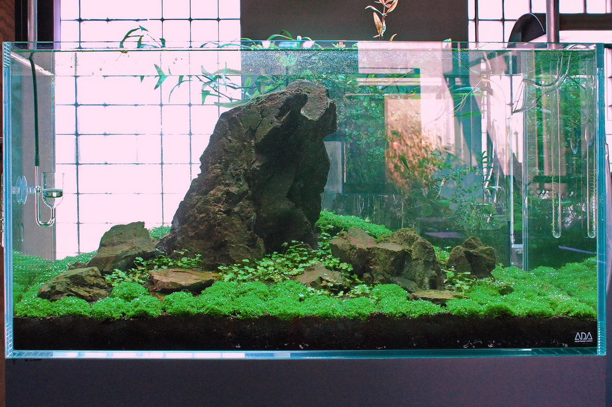 万天石 アクアリウム ADA 石組レイアウト 水草水槽 水槽レイアウト