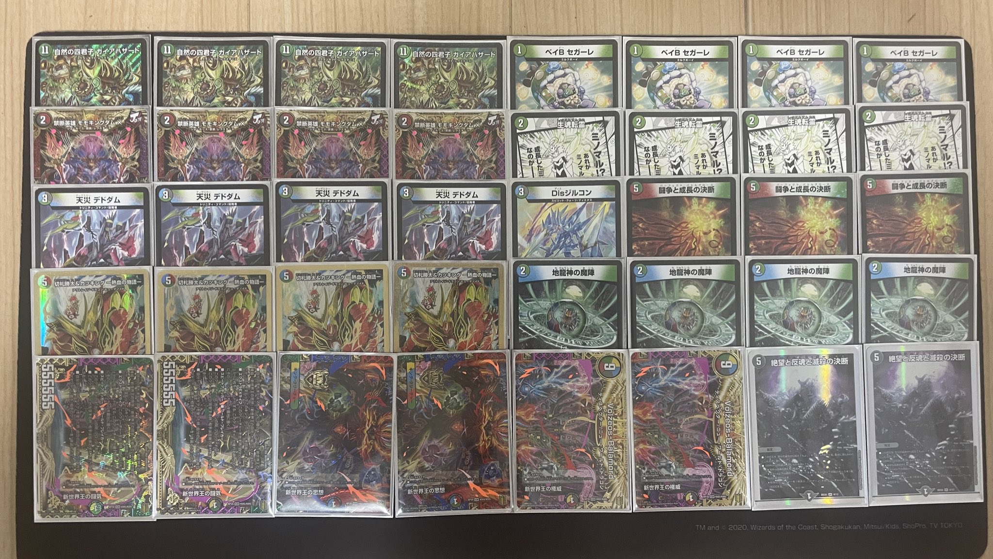 デュエルマスターズ ガイアハザード退化デッキ デュエルマスターズ