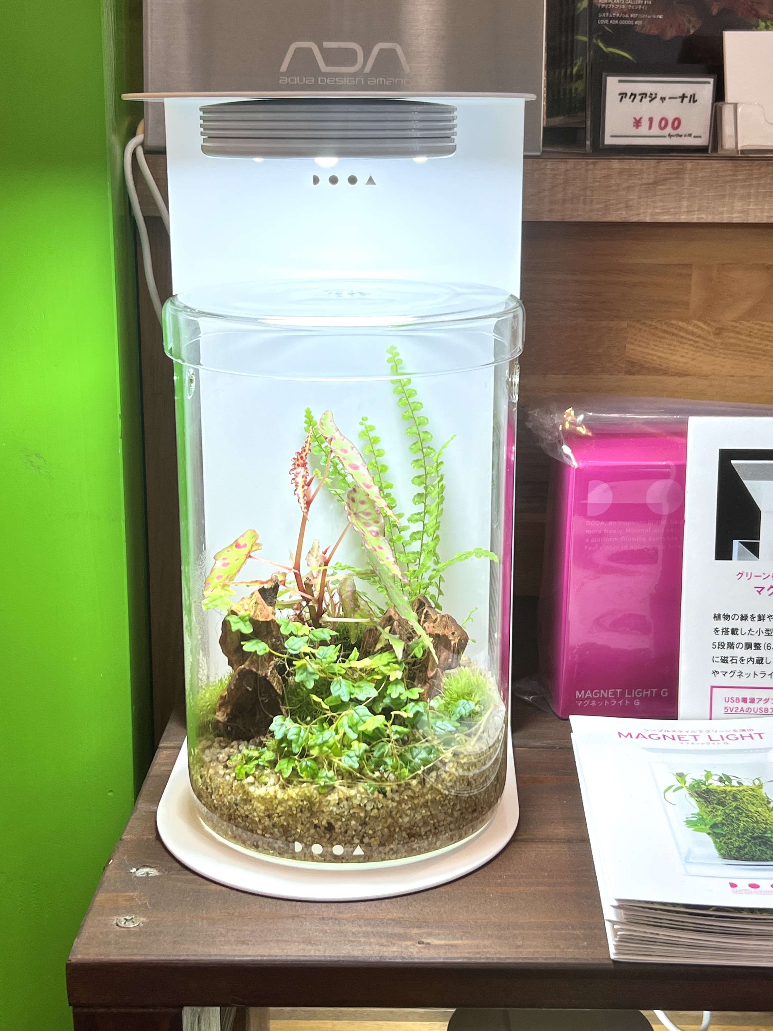 ADA DOOA ガラスポット MARU130 2個 【公式通販】