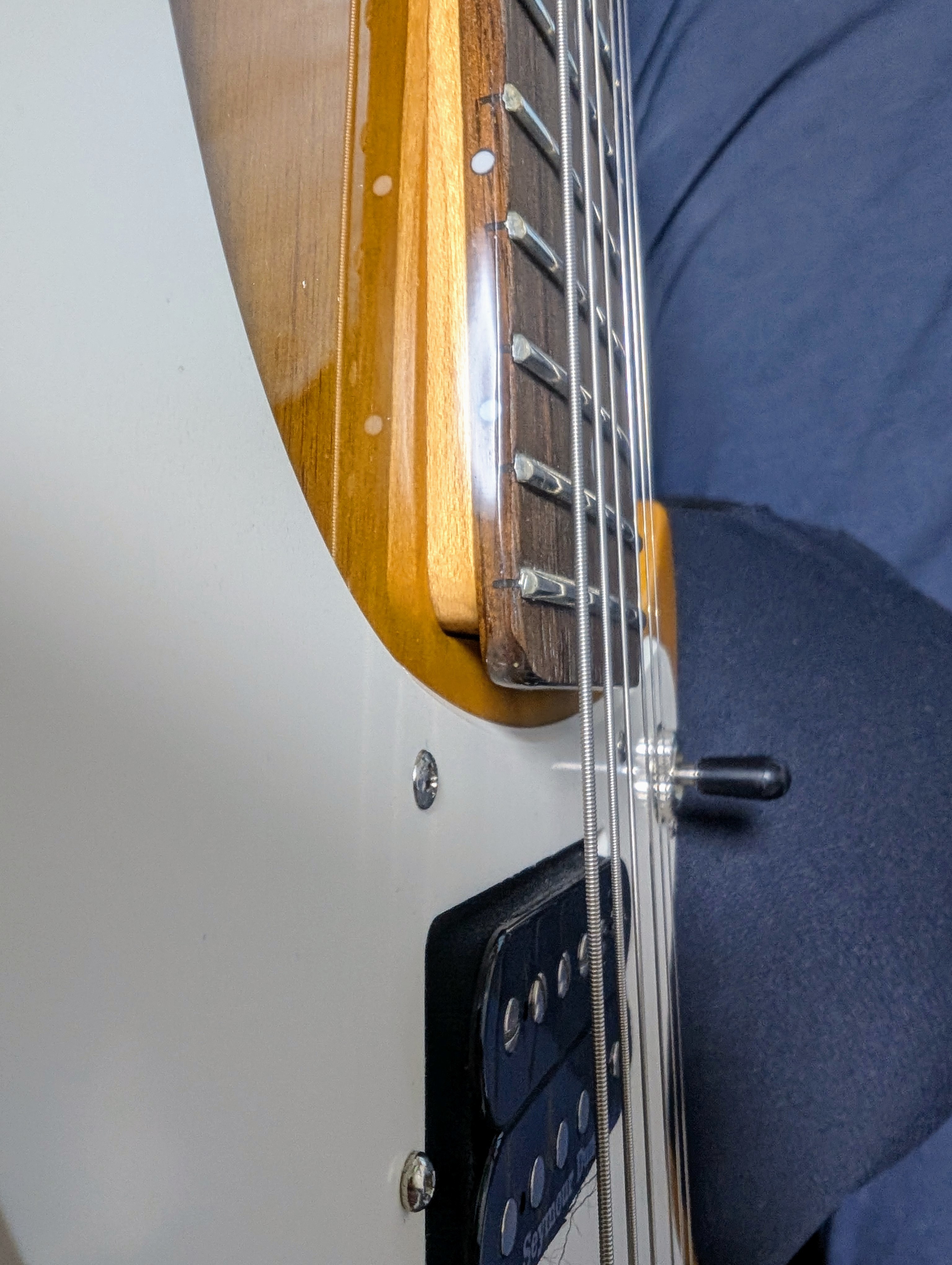 ギター買いました 2025 - M's Sound Engineering