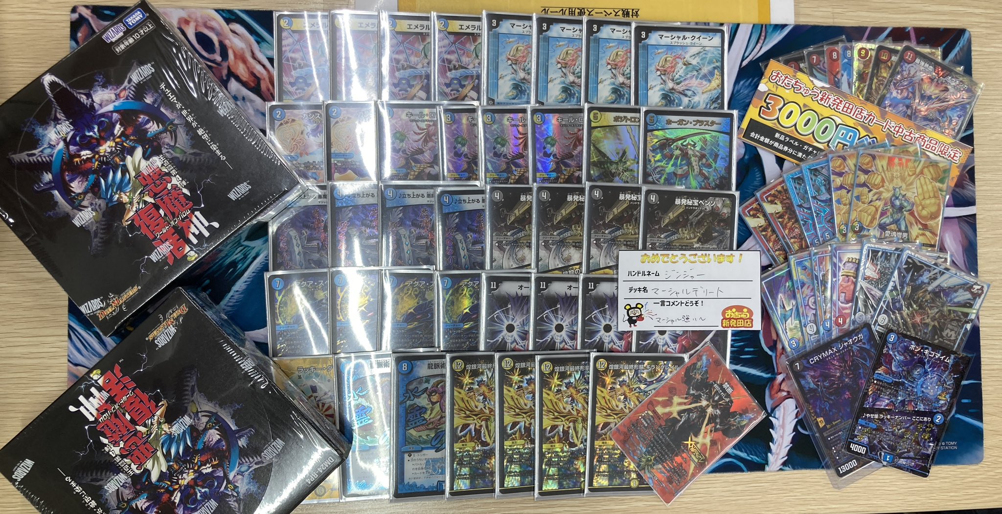 格安SALEスタート！ 勧誘］シータモルトの勧め｜はやごん デュエル