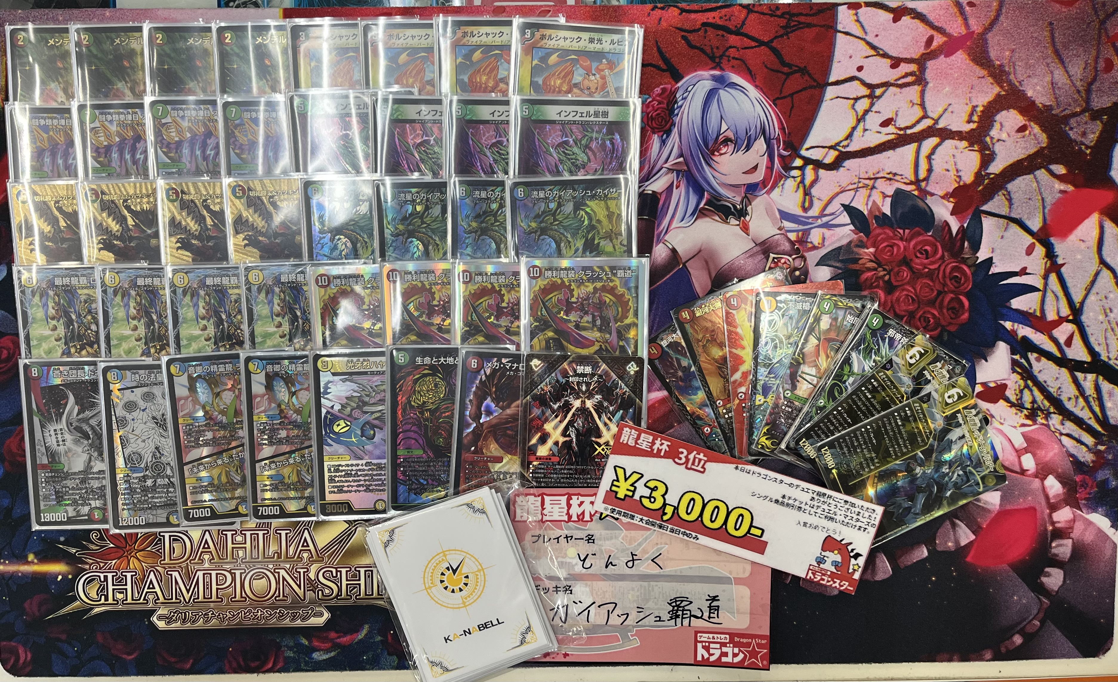 購入 ガイアッシュ覇道 CS入賞多数 デッキ ガイアッシュ覇道 CS入賞