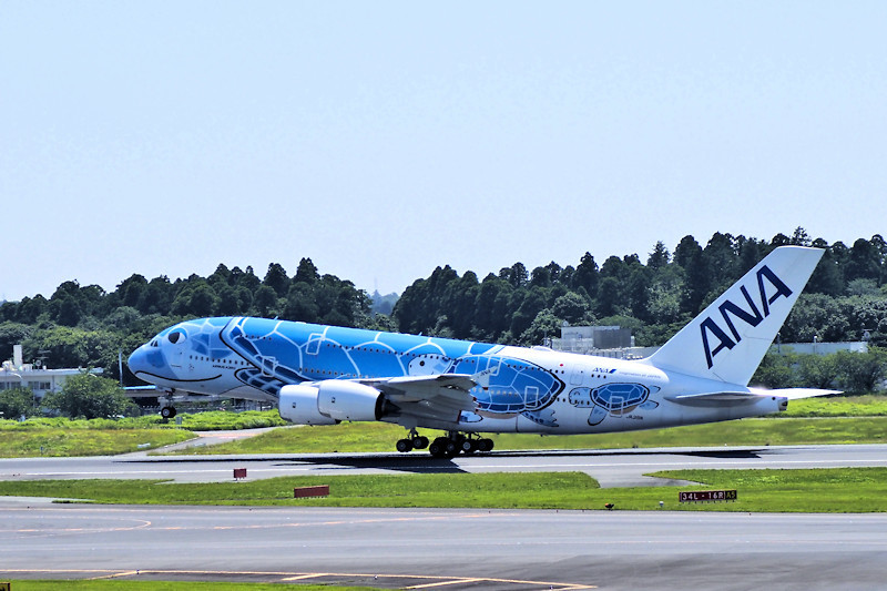 ANA フライングホヌ 1号機 A380-800 JA381A av ANA フライングホヌ 1