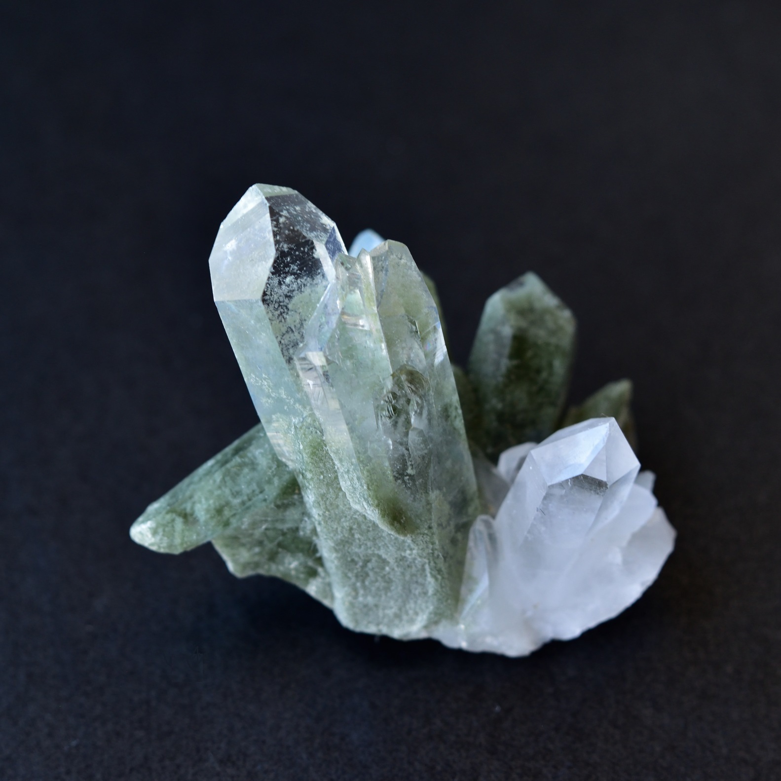 パキスタン/バロチスタン産】クローライトイン(カーバチャー、ベント