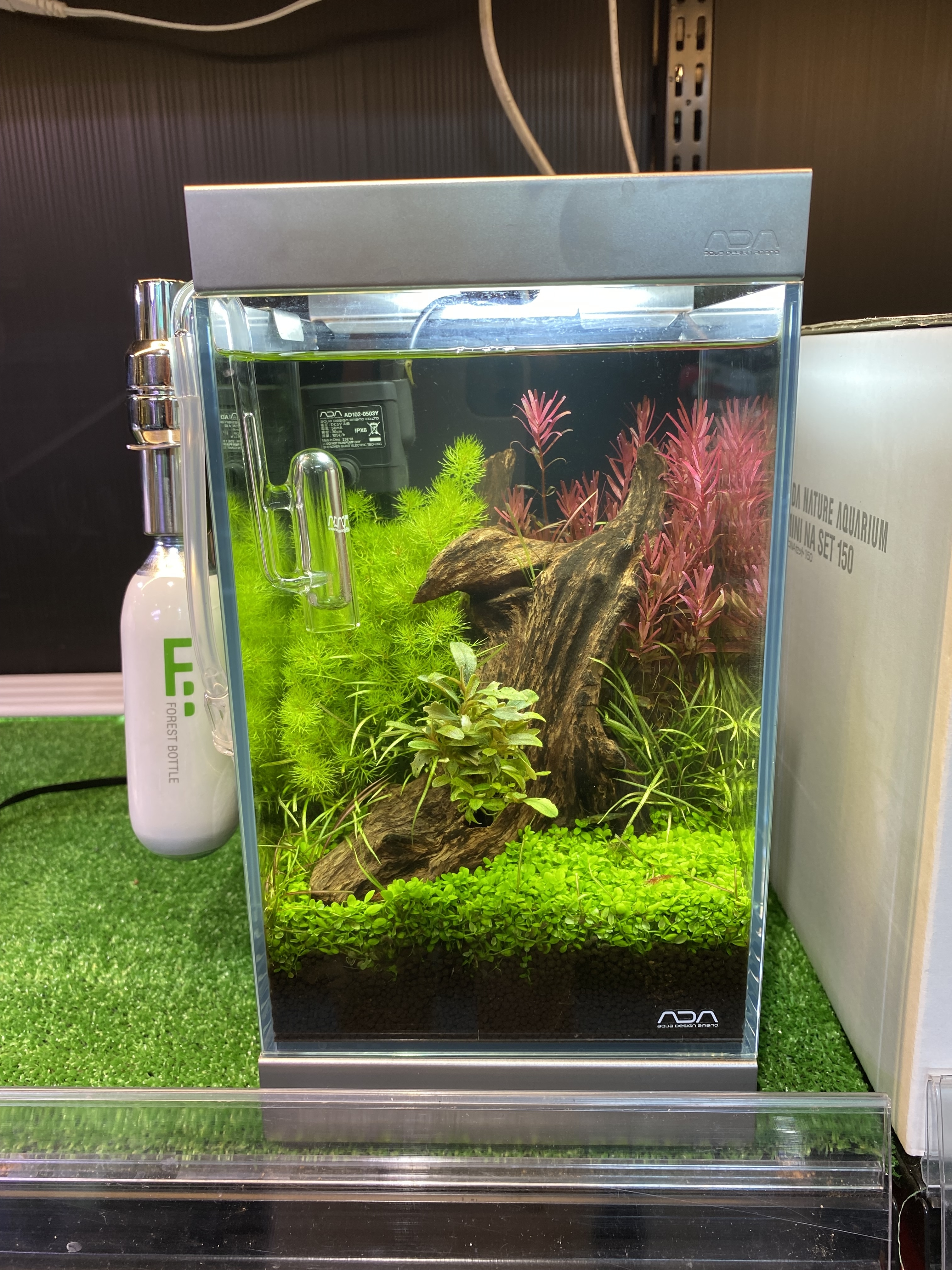 ADA キューブガーデン 60cm水槽 ADA ガラス水槽 Cube Garden 60cm ADA