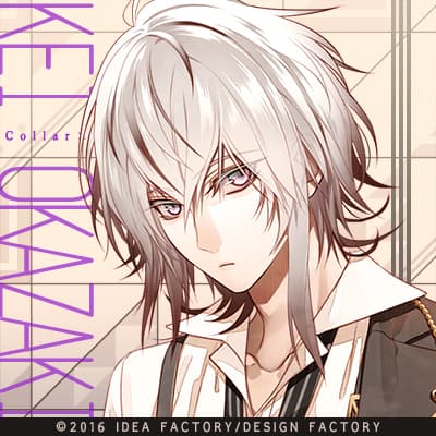 カラマリ ランチョン 岡崎 12枚 まとめ売り カラマリ ランチョン 岡崎