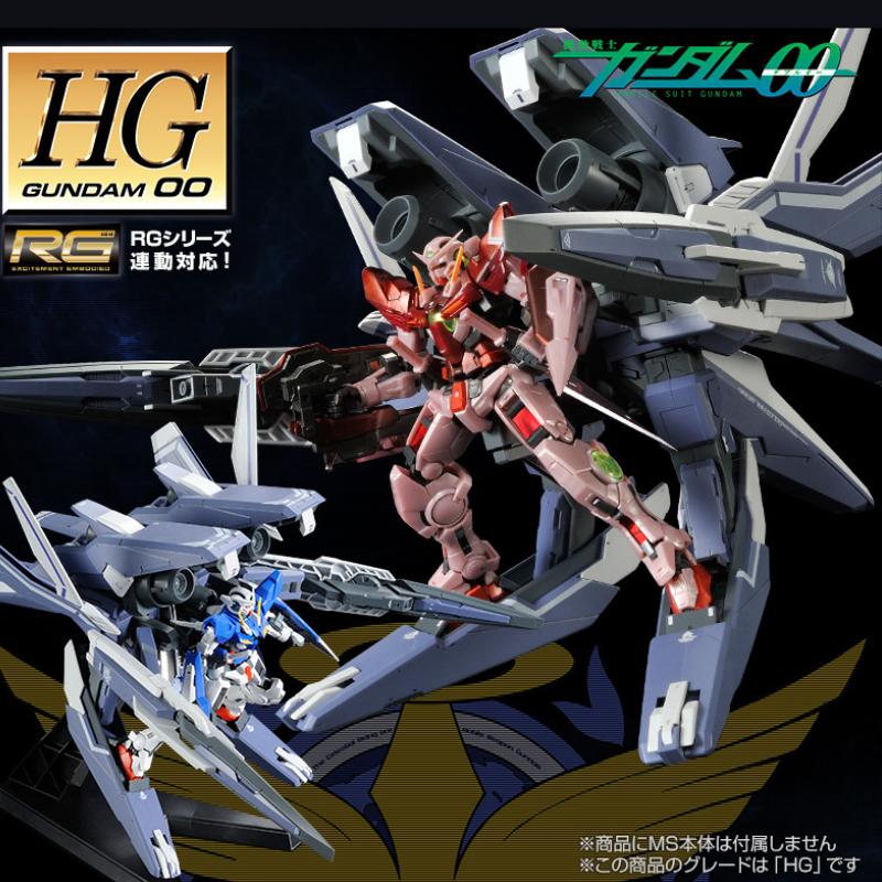 HG GNアームズ TYPE-E（リアルカラーVer．) & RGエクシア HG GN