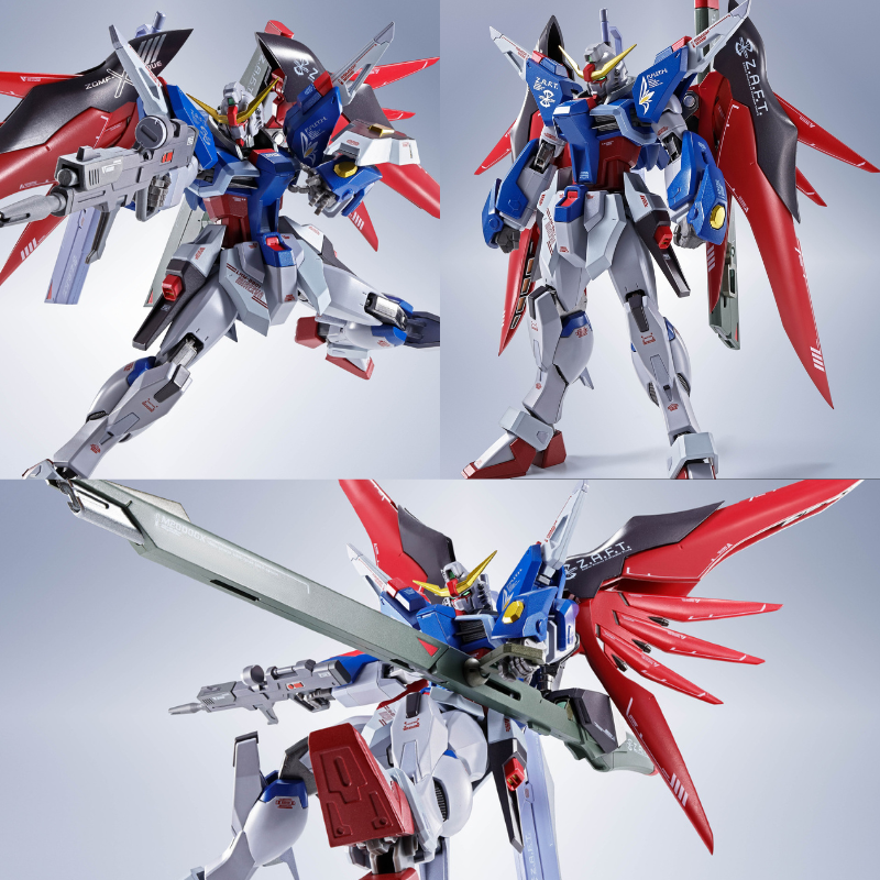 BANDAI SPIRITS L ROBOT魂 小売 SIDE MS デスティニーガンダム [Re
