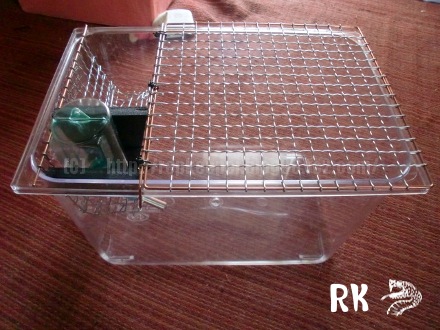 マウス 飼育 繁殖ケージ 5点セット マウス ケージ 2個セット マウス