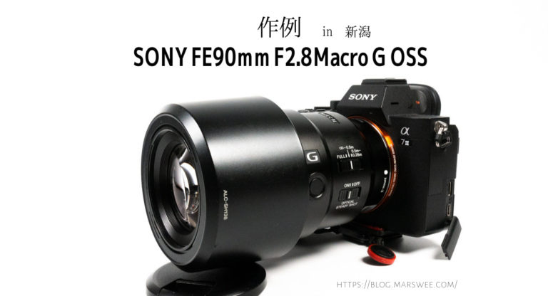 SONY SEL90M28G マクロレンズ Amazon.com : Sony SEL90M28G FE 90mm f