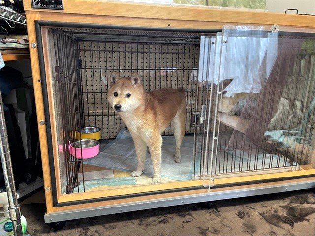 ペットの無駄吠えに防音ケージカバー - 犬小屋製作工房Kの犬小屋ブログ