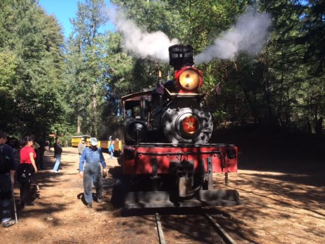 SLファン集まれ！レッドウッドの森を行く蒸気機関車『Roading Camp