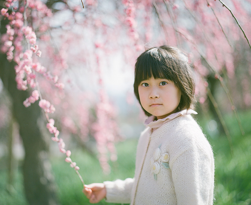 フィルムカメラぶらり撮影散歩11] PENTAX 67（バケペン）はため息が