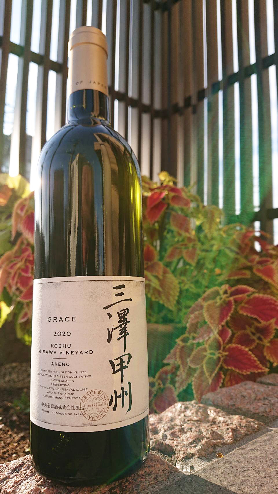 グレイス 三澤甲州 2022