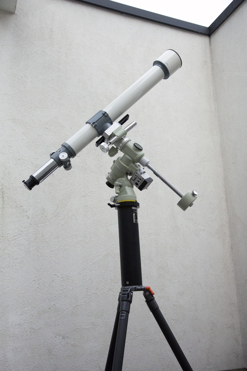 コンゴDR 大型 赤道州 トルクアタ 83mm 【公式通販】