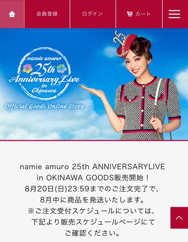 ☆ 安室奈美恵 25周年 沖縄ライブ パンフレット ☆ 安室奈美恵 25周年