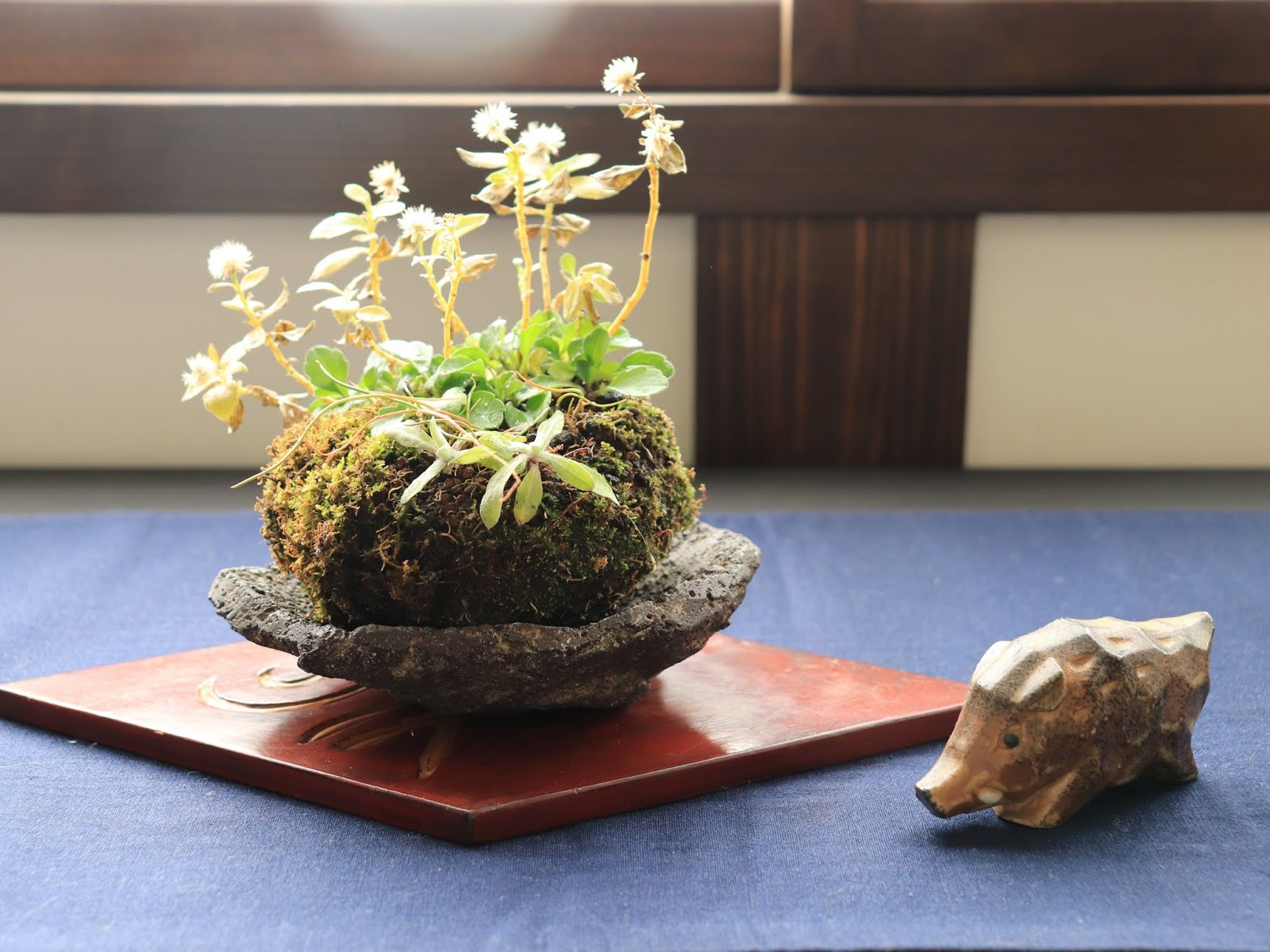 ミニ盆栽鉢 桑津香石 絵鉢 長方形 岩波 鳥 かもめ 小品盆栽 送料無料