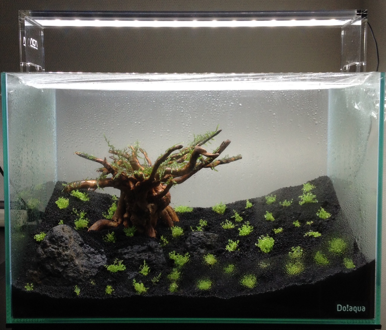 期間限定値下げ』ADA アクアスカイ RGB 60 LEDライト 本日限り値下げ